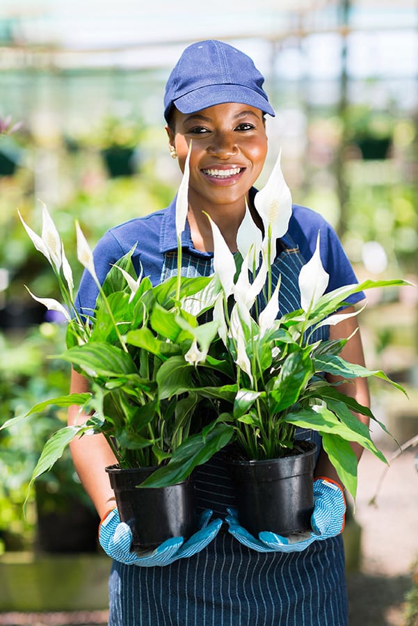 portrait of female african florist holding to potted plants